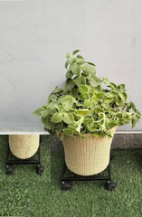 Wheel Pot Stand For Planters